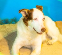 21092025-KNOL5307