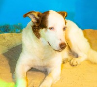 21092025-KNOL5308